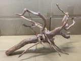 画像: 珍しい流木　ホワイトブランチウッド　2番　神戸店在庫　　