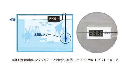 画像: テトラ　デジタル水温計　ブラック　BD-1　 神戸店在庫