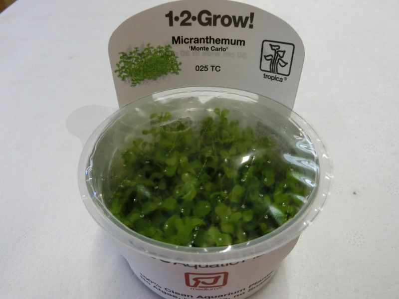 トロピカ社 １ ２ Grow ニューラージパール 神戸店在庫 Aqua F