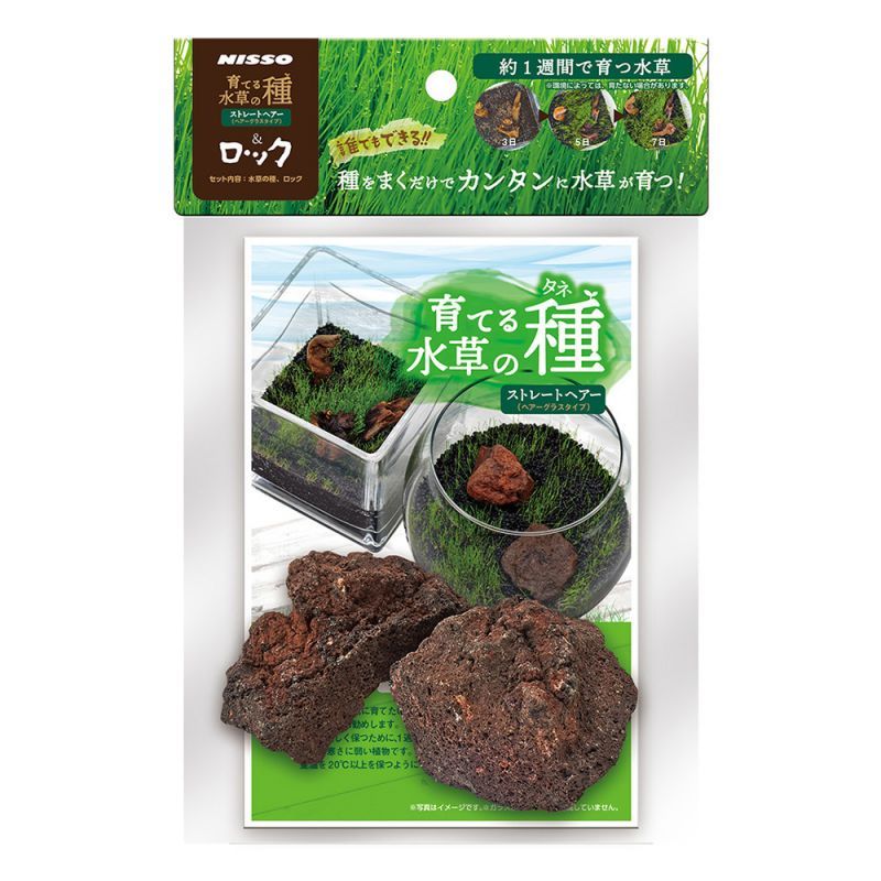 画像1: 初回限定価格！　育てる水草の種　ストレートヘアー＆ロック　神戸店在庫　