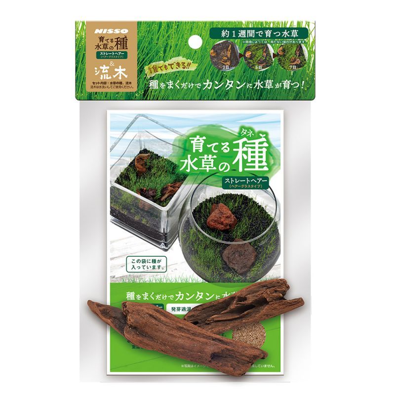 画像1: 初回限定価格！　育てる水草の種　ストレートヘアー＆流木　神戸店在庫　