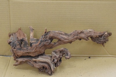 画像: 珍しい流木　ツイストウッド　k15番　神戸店在庫　　