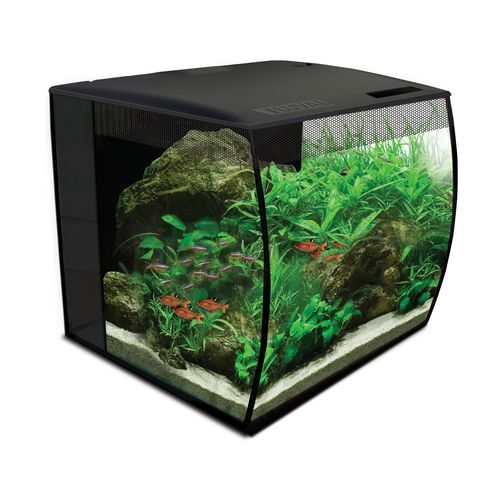 画像: FLUVAL FLEX　オールインワンインテリア水槽　前面ラウンドガラス　LEDカラー調整リモコン付き　神戸店在庫