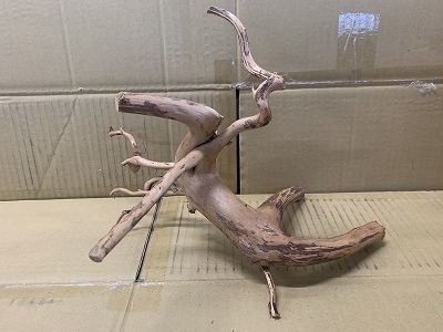 画像: 珍しい流木　ホワイトブランチウッド　6番　神戸店在庫　　